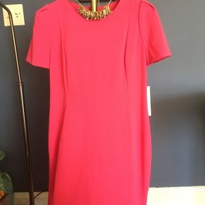 Calvin Klein dress, hot pink- on trend for now NWT